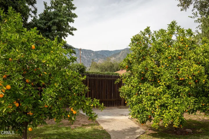1901 Hanford Dr - Pierre Galant-26