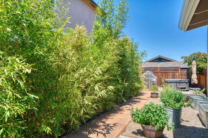207 Harbor Drive, Santa Cruz, California 95062