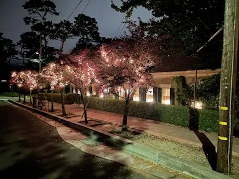 811 Alameda Avenue, Monterey, California 93940