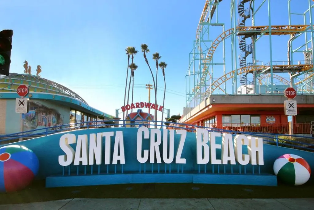 1031 Cayuga Street, Santa Cruz, California 95062 home-pic-76