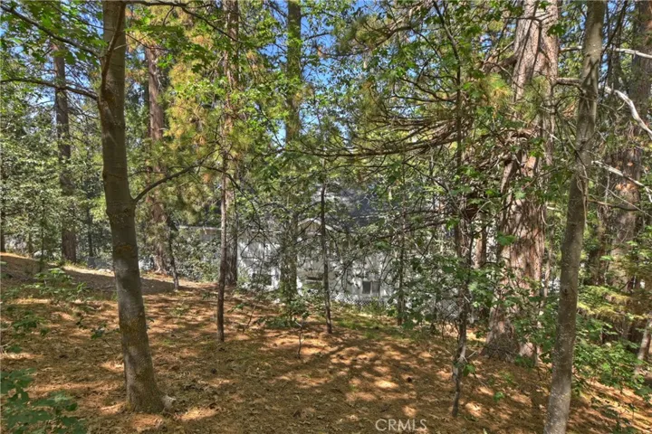 334 Riviera Drive, Lake Arrowhead, California 92352