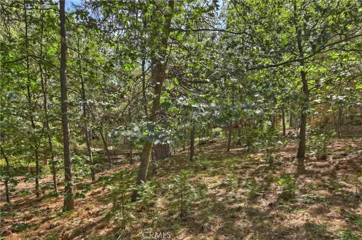 334 Riviera Drive, Lake Arrowhead, California 92352
