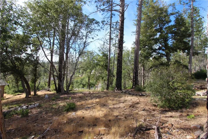11209 Greenaway, Cobb, California 95426