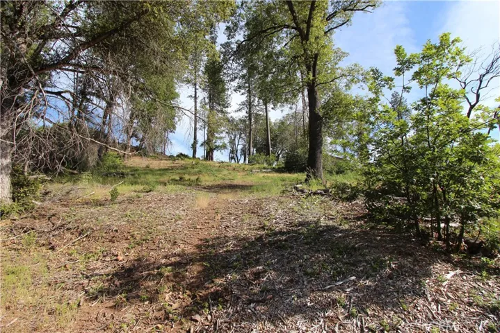 11209 Greenaway, Cobb, California 95426