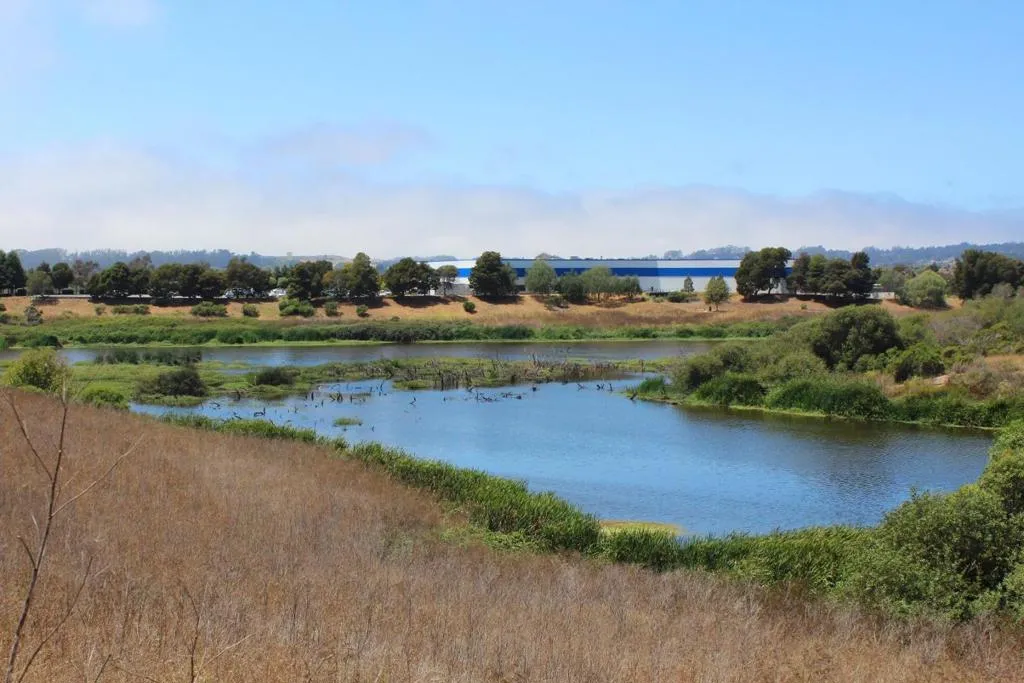 212 Pacifica Boulevard 301, Watsonville, California 95076 home-pic-29