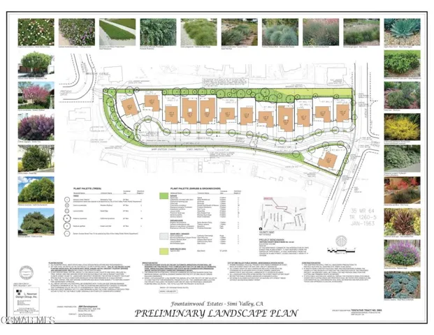 Fountainwood Street Landscape Plans