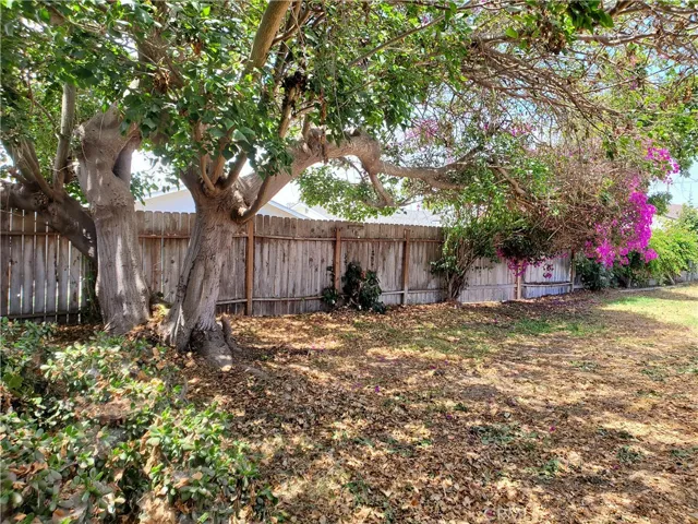 Back house back yard