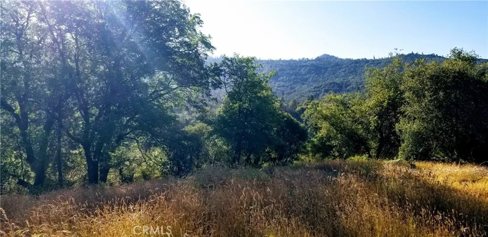 View of Pilot Peak