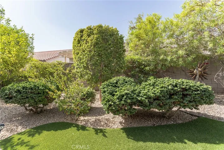 GREEN TURF AND ROCKS FOR EASY MAINTENANCE ALL YEAR LONG!