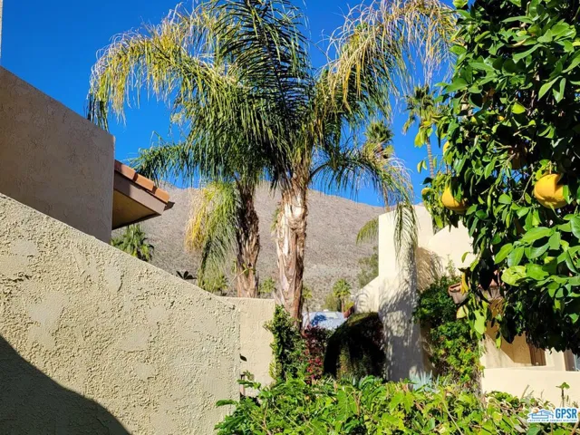 View from patio