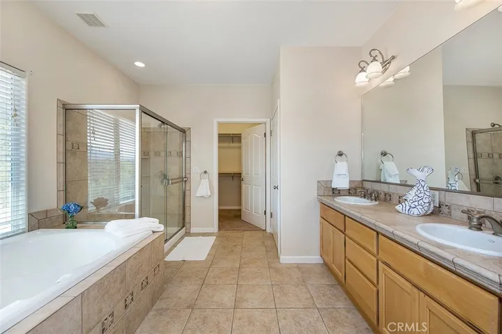 Master Bath is well appointed. The walk in closet is conveniently located.