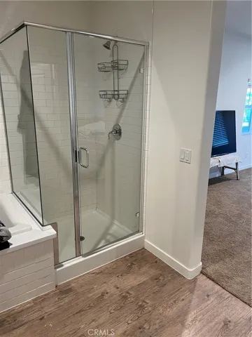 Master shower
