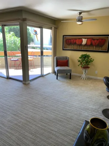 Lot's of Light in Living Room