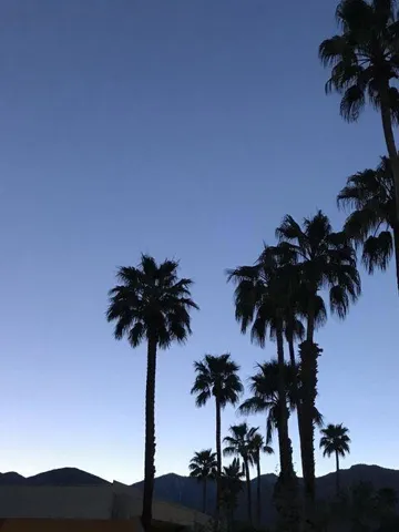 Evening Views