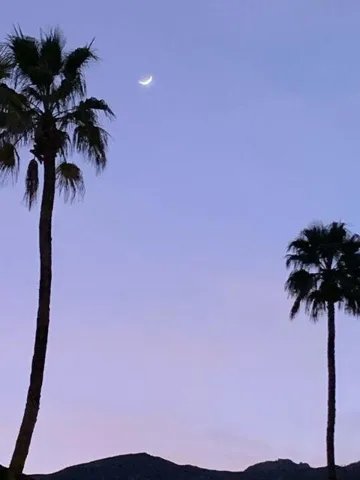 How about that moon?