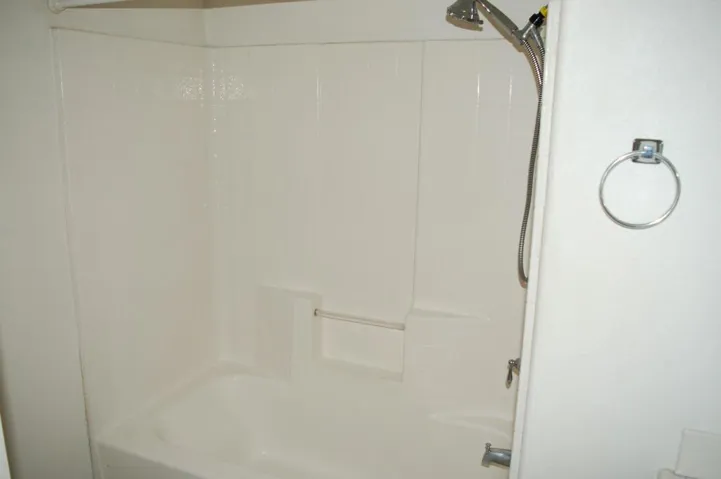 Primary Bathroom Tub Shower Combo