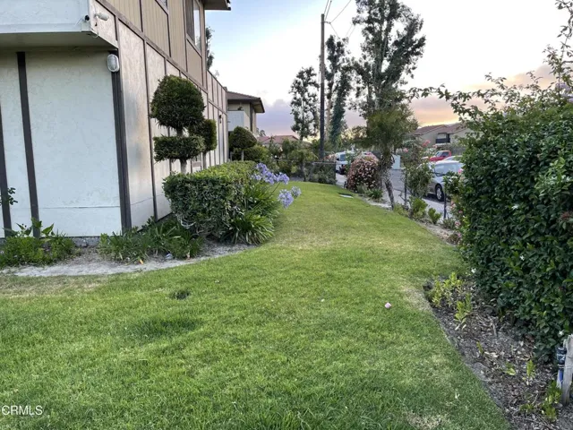 Side Yard