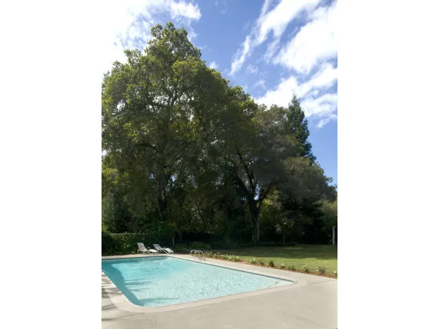 812 Irwin Drive, Hillsborough, California 94010