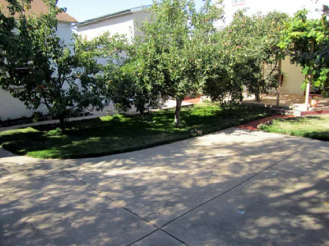 361 Hazel Avenue, San Bruno, California 94066