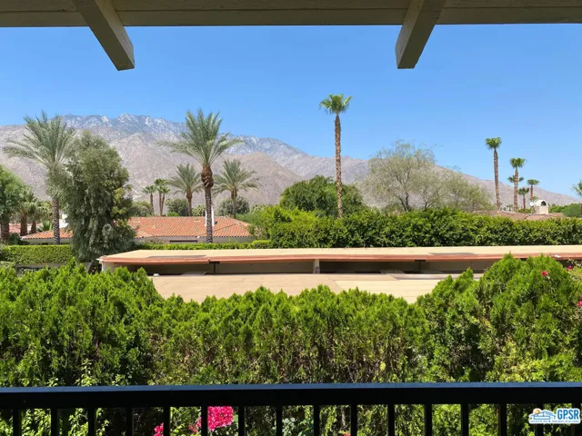 Patio View
