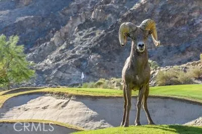 56585 Riviera, La Quinta, California 92253