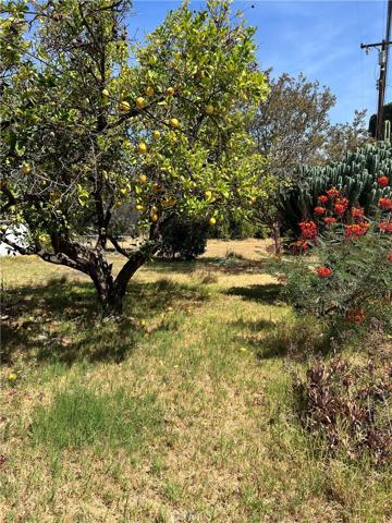 15669 Fairgrove Yard