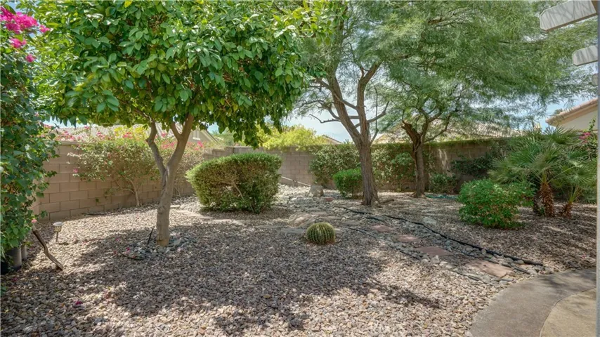 Rear Yard