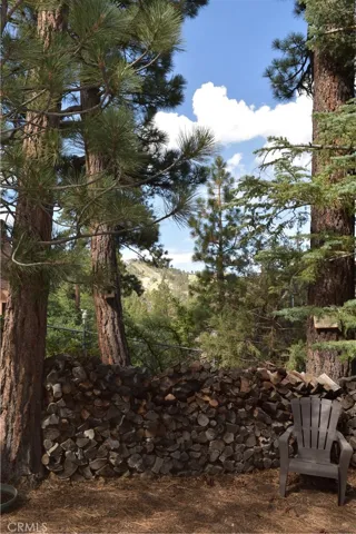 Ski and mountain views from the rear yard!
