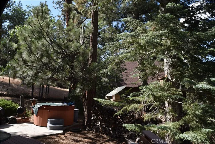 Pines and firs adorn the yard!