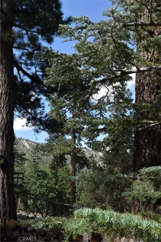 Bear Mountain ski views!
