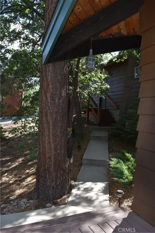 Walkway from the garage to the cabin!