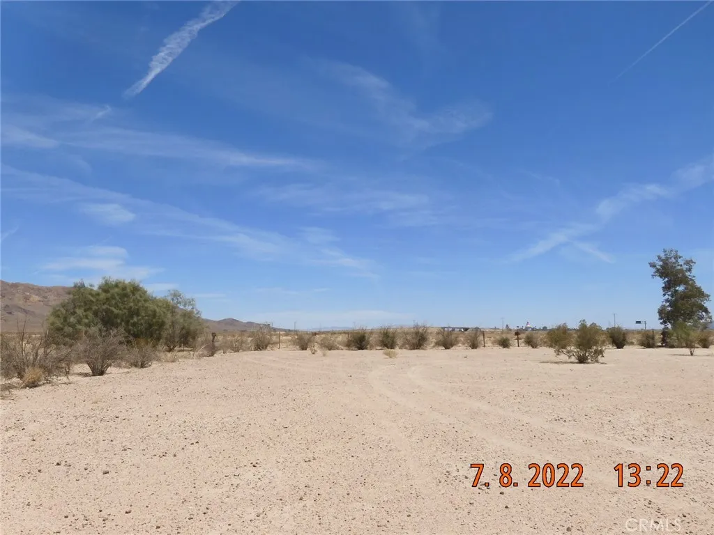 Looking east, from the very back of the parcel