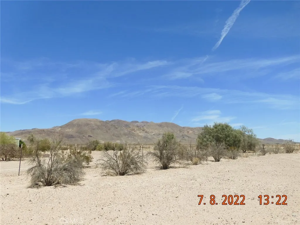 Looking northeast, from the very back of the parcel