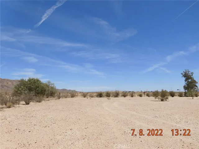 Looking east, from the very back of the parcel