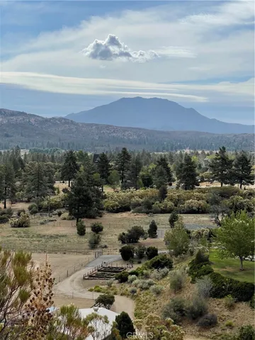 View from parcel.