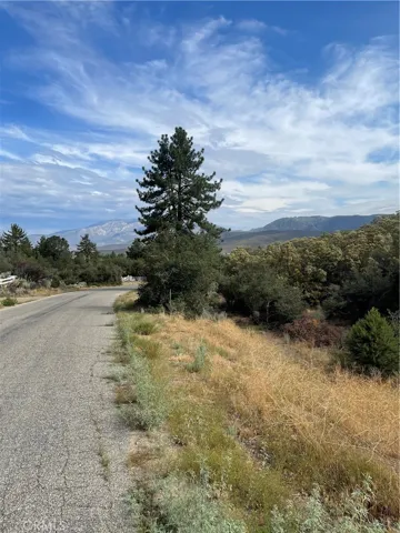 View of Goldshot Creek Road in front of parcel.