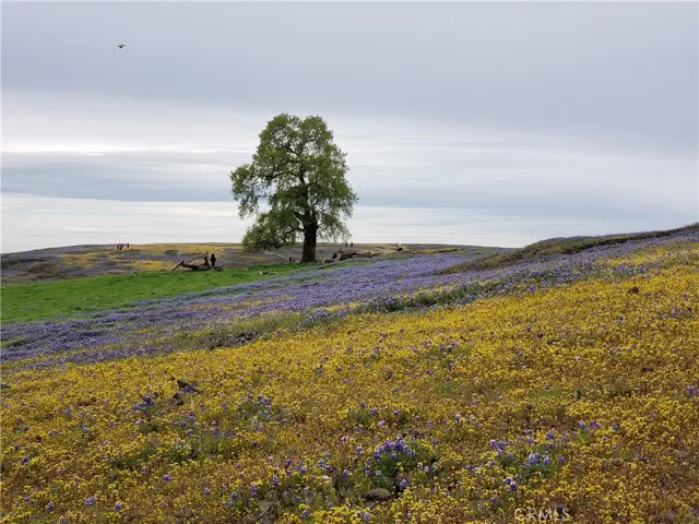 15  Minutes from Table Mountain State Park with Great Hiking and Horse Trails
