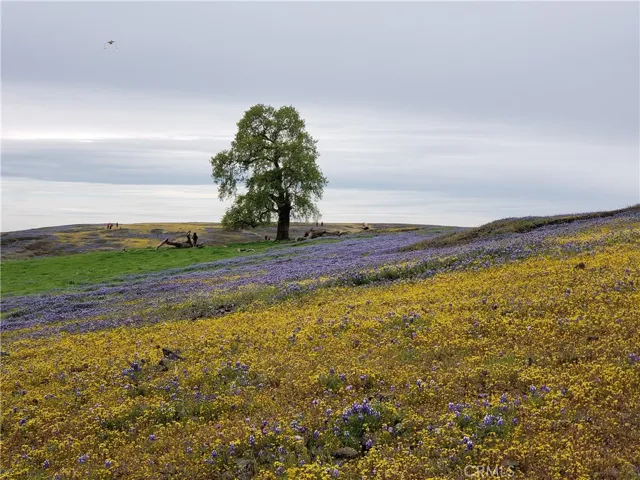 Only 15 Minutes from Table Mountian State Park. Great Hiking and Horse back Riding!