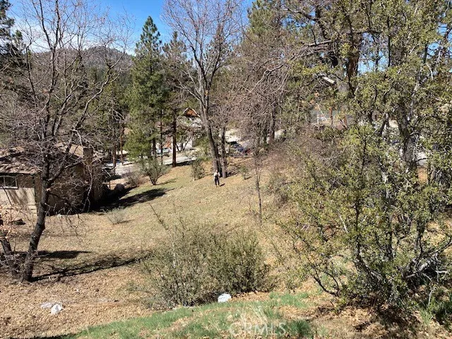 0 Piney Ridge Place, Fawnskin, California 92333