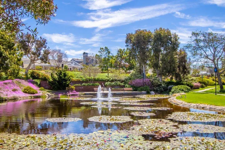 7325 Lantana, Carlsbad, California 92011