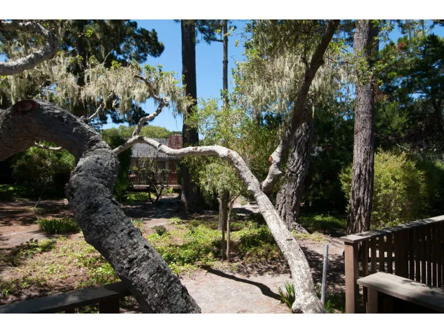 51 Country Club Gate, Pacific Grove, California 93950