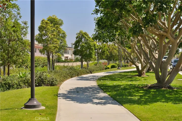 Community Trail
