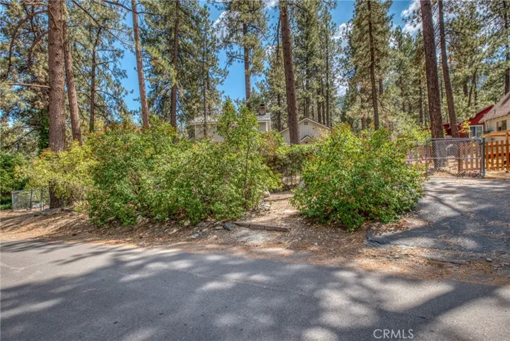 1663 Betty Street, Wrightwood, California 92397