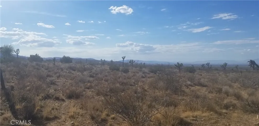 Facing property. West.