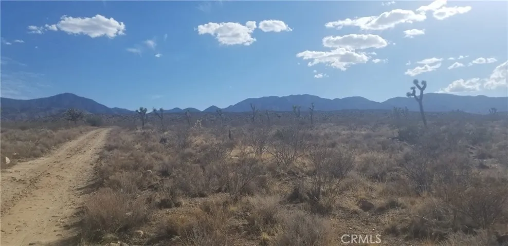 Facing South at property