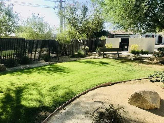 Community Park