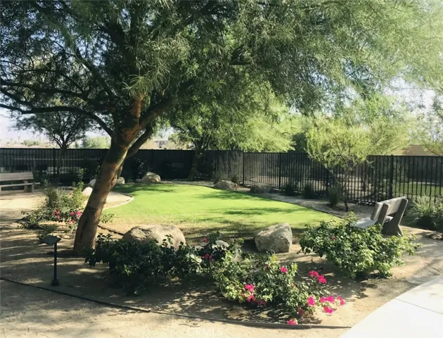 Community Park