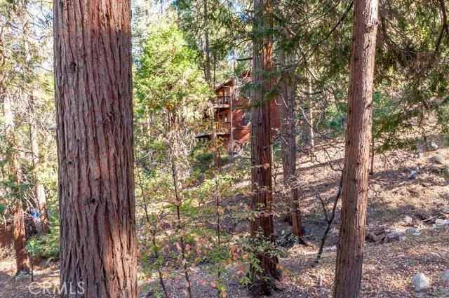 24166 Cresta Drive, Crestline, California 92325