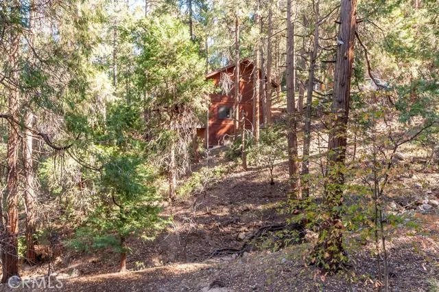24166 Cresta Drive, Crestline, California 92325