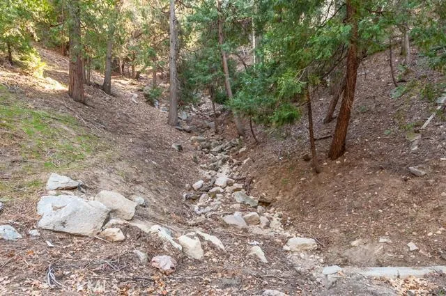 24166 Cresta Drive, Crestline, California 92325